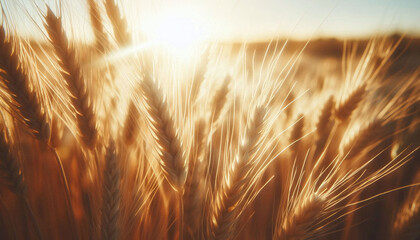 A macro view of wheat on sunny day background. Nature beauty concept. Generative AI.