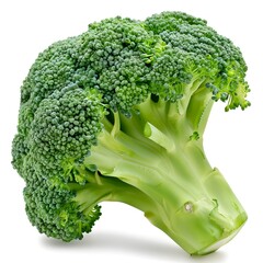 Sticker - Fresh Broccoli Floret Isolated on White Background