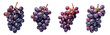 © MD - purple grapes on a white background