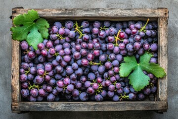 Wall Mural - A closeup view of freshly harvested grapes nestled in a rustic wooden basket, showcasing their vibrant color and natural leaves