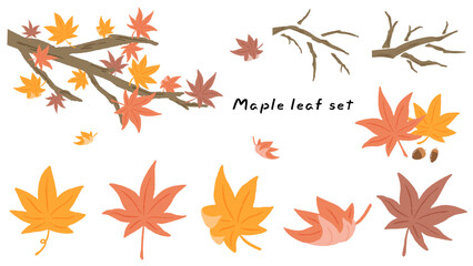 cute hand drawn illustration set of maples and maple leaves, maple trees and leaves falling in the w