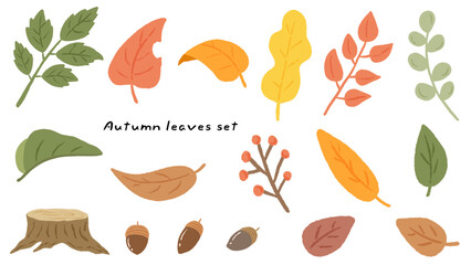 Wall Mural - Cute hand drawn illustration set of autumn leaves, acorns and stumps / 秋色の葉っぱ、どんぐり、切り株のかわいい手描きイラストセット