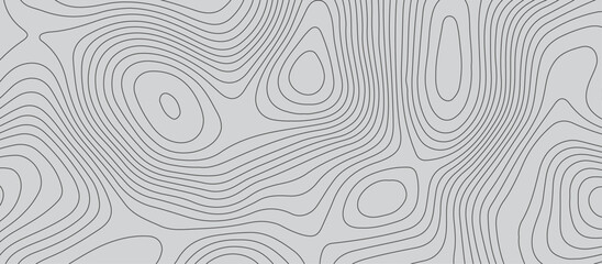 Wall Mural - Gray luxury topographic lines map background .modern technology wave curve line contour map design .seamless geography grid vector illustration .