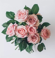 Sticker - Bouquet of pink roses with green leaves on white background in top view.