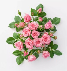 Sticker - Bouquet of pink roses with green leaves on white background in top view.