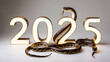 © Yuliya - Chinese New Year 2025, year of the snake, zodiac