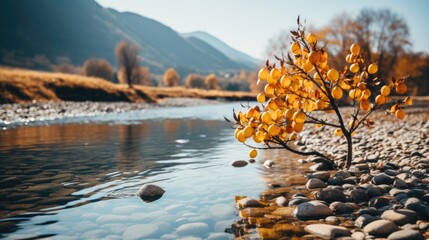 Wall Mural - autumn in the mountains