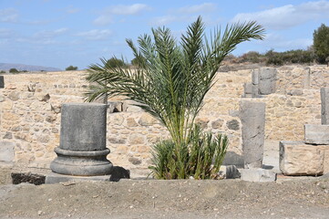 Wall Mural - Römische Ruinenstadt Volubilis im Marokko