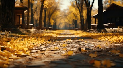 Wall Mural - autumn in the park