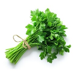 Fresh Parsley Bunch Isolated on White Background.