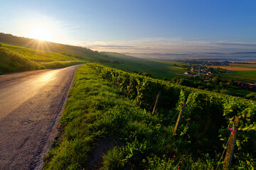 Canvas Print - Country road and Champagne vineyards on the hillside of Bonneil village