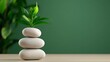 © PUTTER-ART - Zen Balance, Smooth stones stacked with a small plant on top, Harmony and peace.