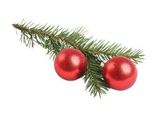 fir tree branch with two red christmas balls isolated on white background