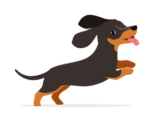 Wall Mural - happy cute dachshund dog with good quality and design