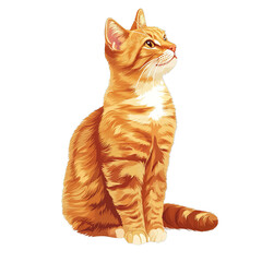 Wall Mural - Cats Transparent Isolated White Background Shoot