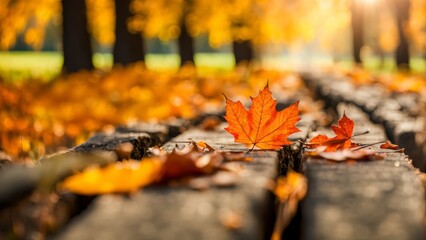 Wall Mural - Autumn background for a stock photo with space for text.