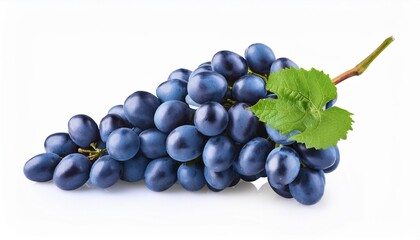 grapes bunch isolated on white background ripe blue wine grape berry on stem as detail for packaging design