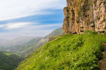 Rock on a green slope.