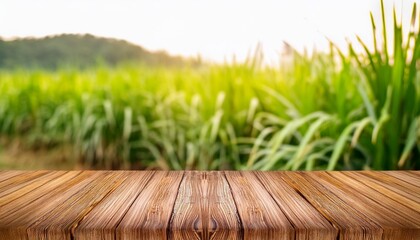 Wall Mural - the empty wooden brown table top with blur background of sugarcane plantation exuberant image for montage or display products