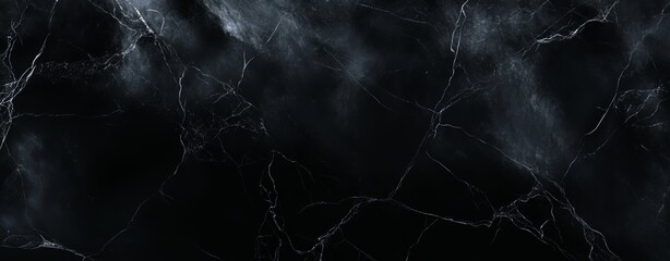 Wall Mural - A sophisticated black marble background featuring contrasting dark and light gray veins..