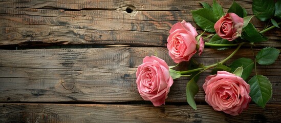 Wall Mural - Pink roses featured on a wooden backdrop with copy space image.