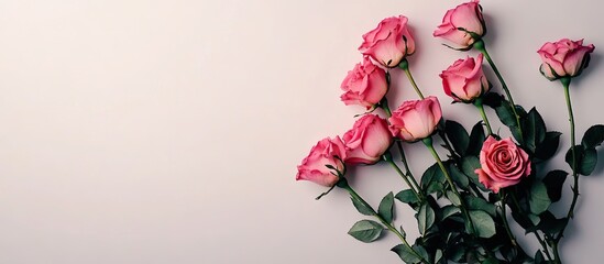 Aufkleber - A bouquet of pink roses set against a white background with copy space