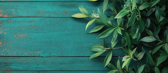 Poster - green mint timber. with copy space image. Place for adding text or design