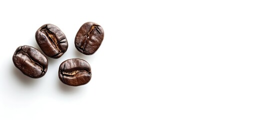 Leinwandbilder - A solitary coffee beans against a white background providing ample copy space image