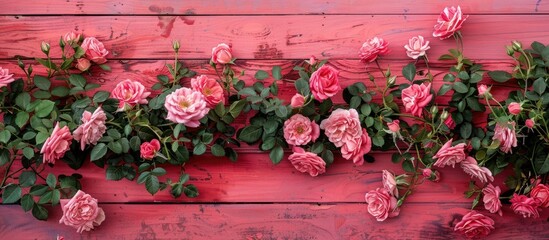 Poster - Pink wooden backdrop adorned with vibrant roses and ample copy space image