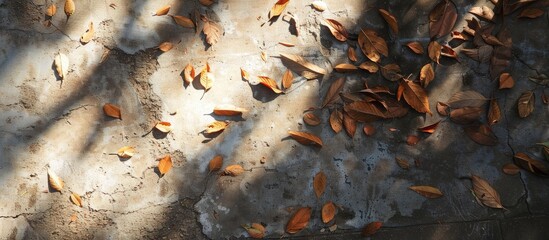 Sticker - Morning sunlight casts abstract shadows of dry leaves on a cement floor with ample copy space image