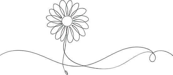 continuous single line drawing of daisy flower, line art vector illustration