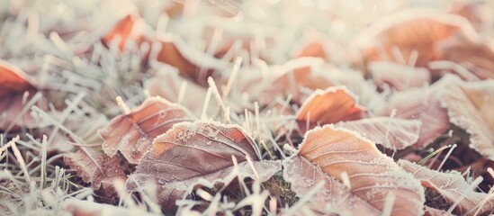Aufkleber - Vintage film filter adds a retro touch to the autumn background featuring frosted leaves in grass creating a captivating copy space image