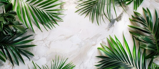 Canvas Print - A tropical vibe is captured in a photo of vibrant palm leaves against a white marble wall with space for text or graphics. Creative banner. Copyspace image