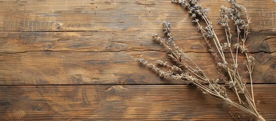 Aufkleber - Wooden table with a dried salvia branch for a restaurant menu background suitable for inserting text on a copy space image