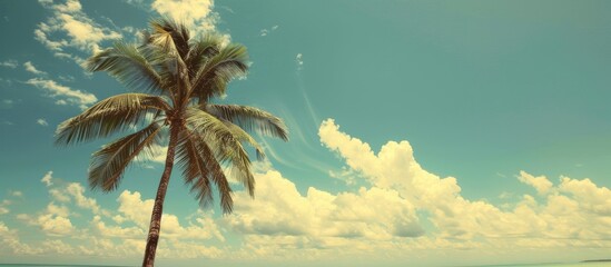 Poster - Tropical beach scene with a palm tree against a blue sky and white clouds creating a vintage style color filtered image perfect for summer vacation and business travel concepts featuring a copy space