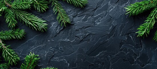 Leinwandbilder - Copy space image featuring fir tree branches against a black slate backdrop for Christmas or New Year greetings