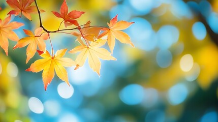 Poster - Maple leaves in autumn sunny day : Generative AI