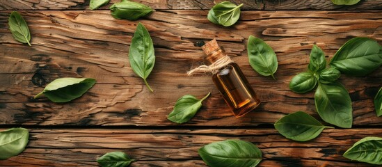 Wall Mural - Basil essential oil displayed on a textured wood backdrop with fresh leaves promoting aromatherapy benefits and natural herbal remedies in an alternative medicine setup with room for text and a copy