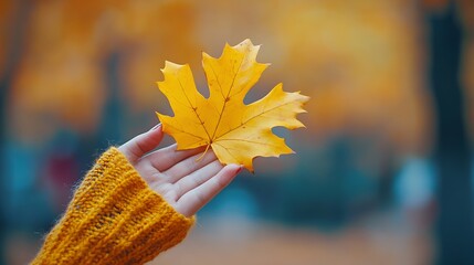 yellow leaf in female hand autumn season leaves good weather cozy autumn natural environmental concept banner for designer for postcards wallpapers banner with blurry bokeh : Generative AI