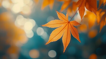 Poster - Maple leaves in autumn sunny day : Generative AI
