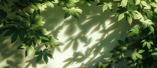 Wall Mural - leaf shadows creating a summer background with copy space image