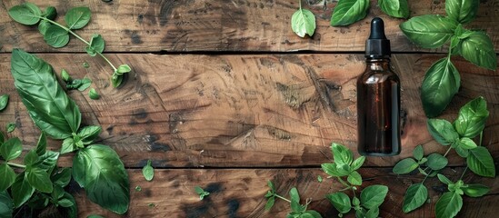 Wall Mural - Aromatherapy with basil essential oil and fresh leaves on a textured wooden backdrop denoting medical herbs in alternative medicine with a designated area for text in the copy space image