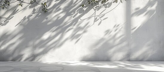 Wall Mural - white concrete encases the floor and walls casting delicate leaf and branch shadows creating a subtl