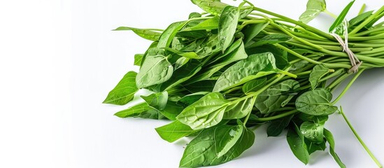 Wall Mural - image of water spinach or ipomoea aquatica pile isolated on a white backdrop with copy space availab