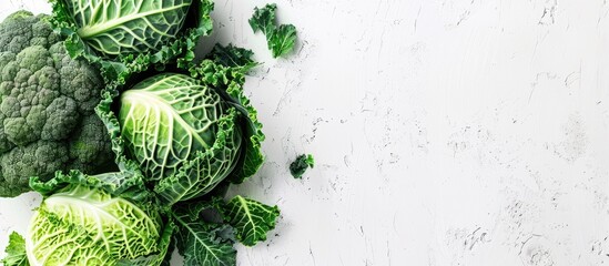 Savoy cabbage kale a green leafy vegetable on a white background with copy space image