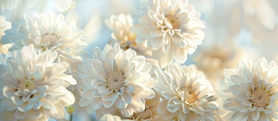 Aufkleber - Beautiful white flowers in full bloom against a copy space image