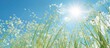 © meristock - White flowers of tall grass under clear blue sky with copy space image