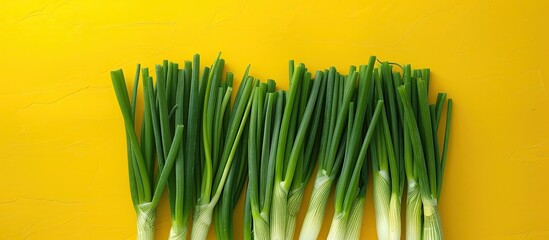 Wall Mural - Copy space image with green onions set against a yellow backdrop