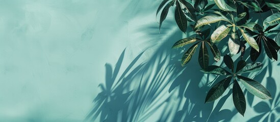 Leinwandbilder - A tropical plant s leaf shadow cast on a light blue background providing copy space View from above