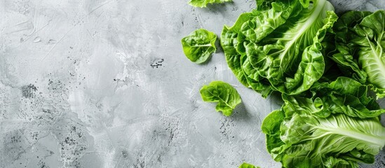 Wall Mural - Top view of fresh green romaine lettuces on a light grey table with copy space image available